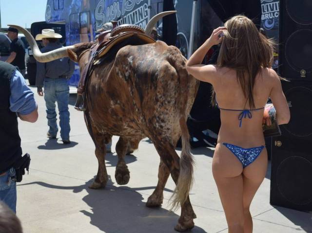 grownup corner 67 pics 7.html - 67 HD Photos | Premium Gallery 2018