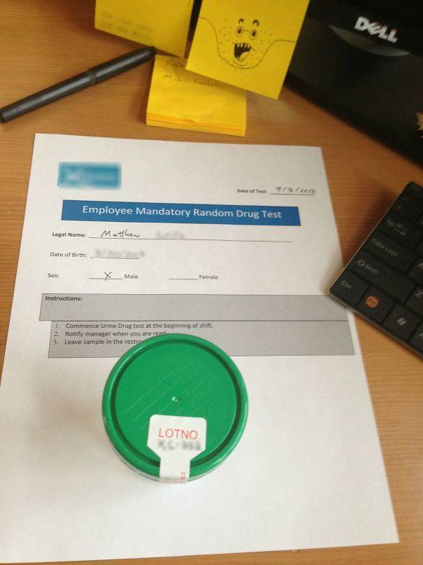 Hilarious Ways Boss-Employee Relationships Flourish