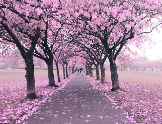 morning picdump 50 pics 21.html - 50 HD Photos | Premium Gallery 2018