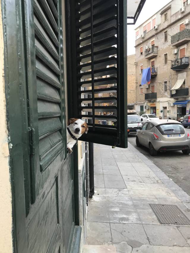 morning picdump 50 pics 21.html - 50 HD Photos | Premium Gallery 2018