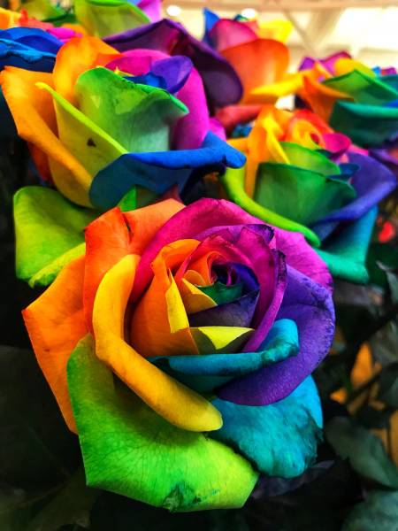 Daily Picdump [WEEKEND EDITION]