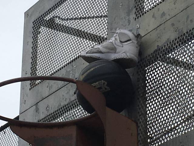 Daily Picdump [WEEKEND EDITION]