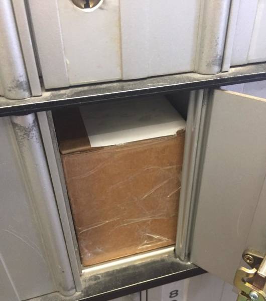 Daily Picdump [WEEKEND EDITION]