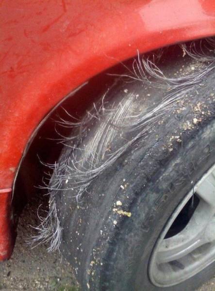 Daily Picdump [WEEKEND EDITION]