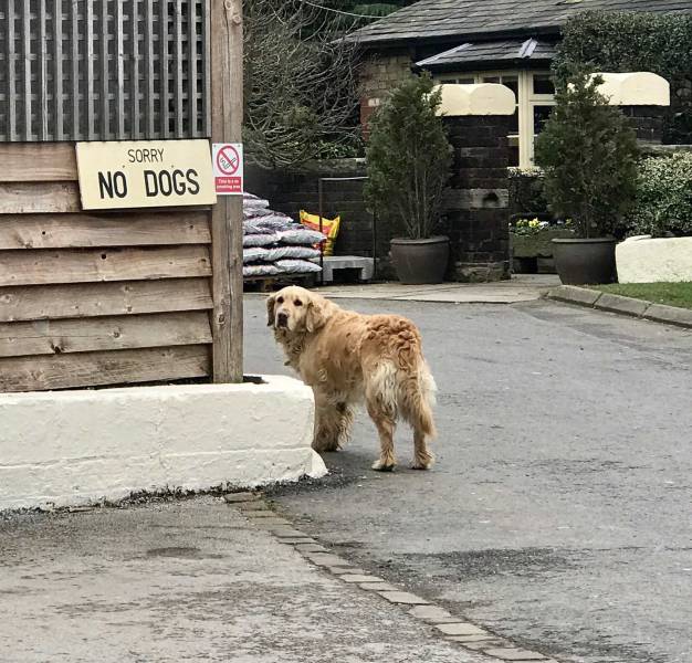 daily picdump weekend edition 50 pics 9.html - 50 HD Photos | Premium Gallery 2018