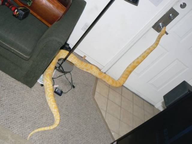 daily picdump weekend edition 50 pics 9.html - 50 HD Photos | Premium Gallery 2018