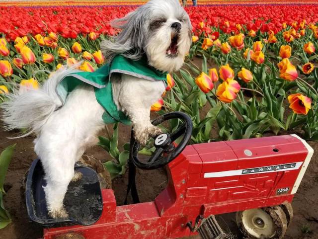 daily picdump weekend edition 50 pics 9.html - 50 HD Photos | Premium Gallery 2018