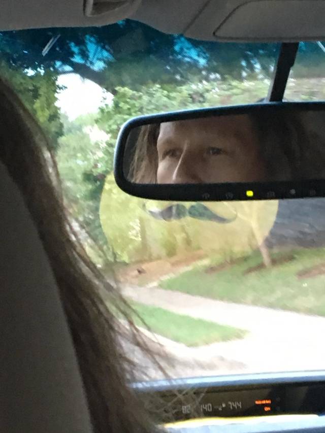 daily picdump weekend edition 50 pics 9.html - 50 HD Photos | Premium Gallery 2018