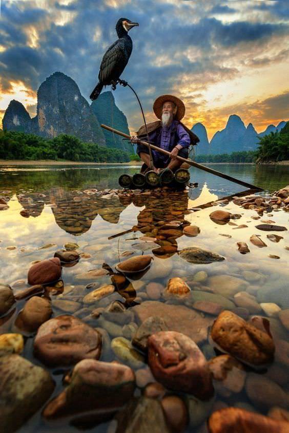 daily picdump weekend edition 50 pics 9.html - 50 HD Photos | Premium Gallery 2018