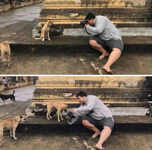 daily picdump 98 pics 15.html - 98 HD Photos | Premium Gallery 2018