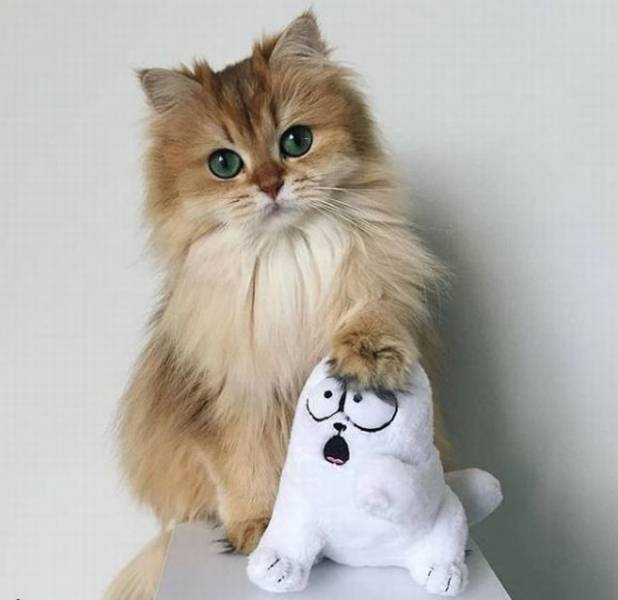 daily picdump 98 pics 15.html - 98 HD Photos | Premium Gallery 2018