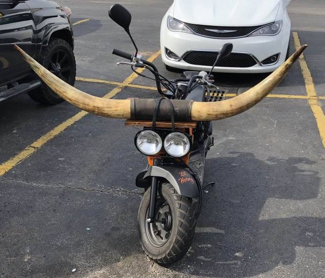 daily picdump 98 pics 15.html - 98 HD Photos | Premium Gallery 2018