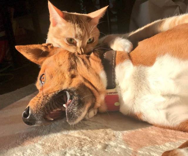 daily picdump 98 pics 15.html - 98 HD Photos | Premium Gallery 2018