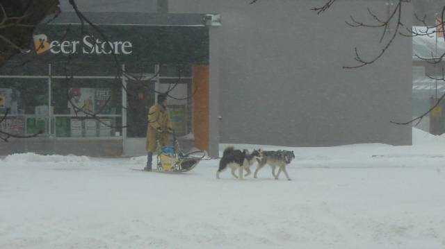 daily picdump 98 pics 15.html - 98 HD Photos | Premium Gallery 2018