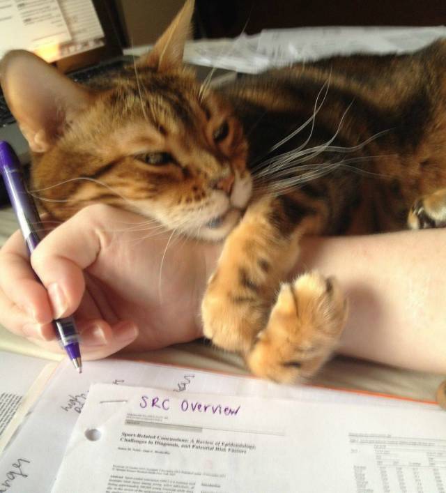 daily picdump 98 pics 15.html - 98 HD Photos | Premium Gallery 2018