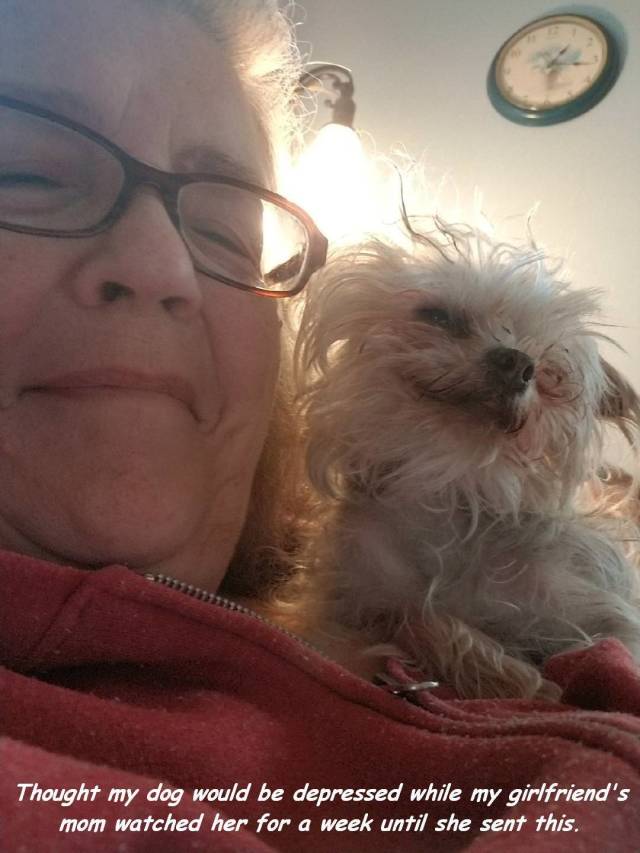 daily picdump 98 pics 15.html - 98 HD Photos | Premium Gallery 2018