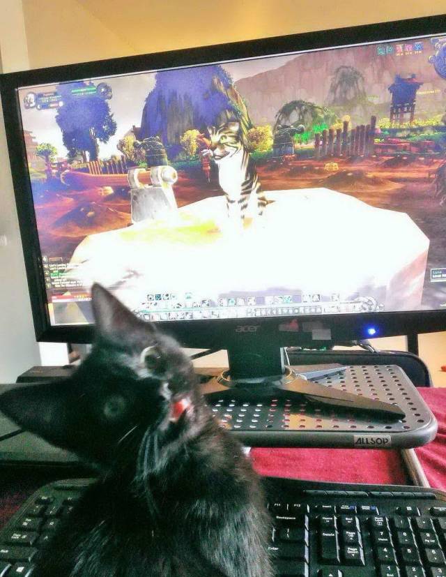 daily picdump 98 pics 15.html - 98 HD Photos | Premium Gallery 2018