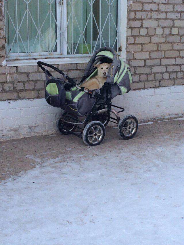 daily picdump 98 pics 15.html - 98 HD Photos | Premium Gallery 2018