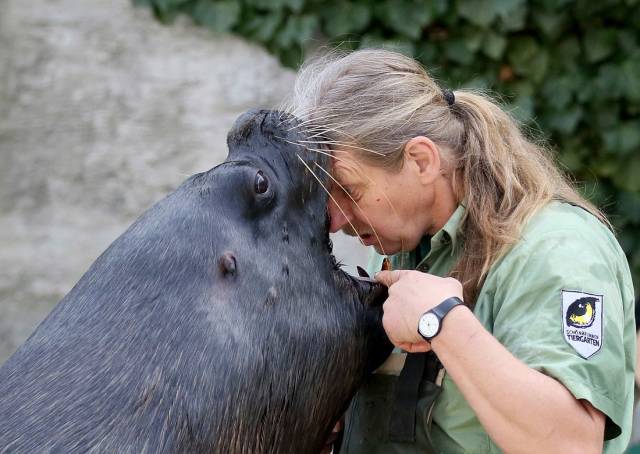 daily picdump 91 pics 38.html - 91 HD Photos | Premium Gallery 2018