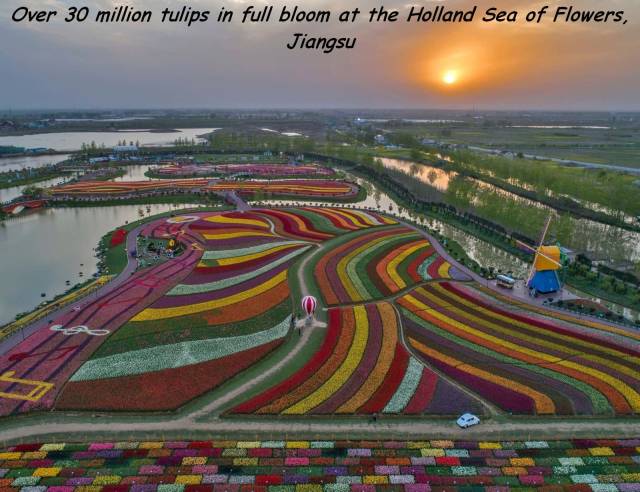 daily picdump 91 pics 38.html - 91 HD Photos | Premium Gallery 2018