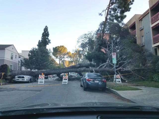 daily picdump 91 pics 38.html - 91 HD Photos | Premium Gallery 2018