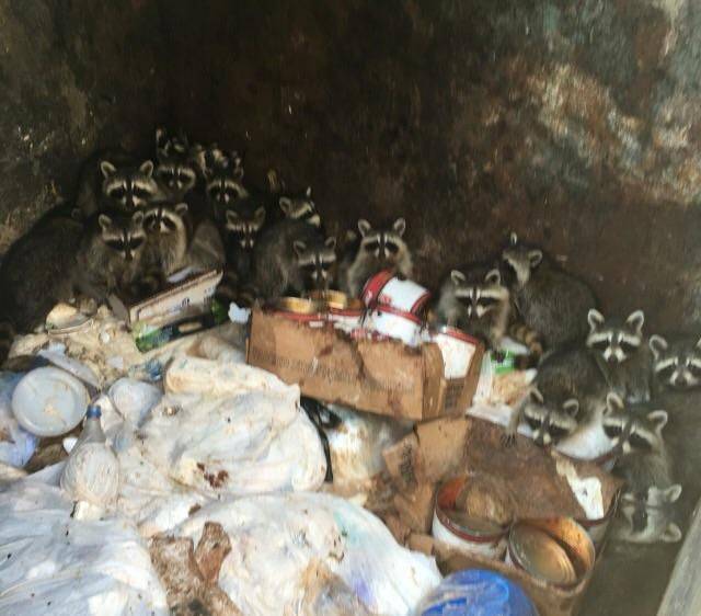 daily picdump 103 pics 2.html - 103 HD Photos | Premium Gallery 2018