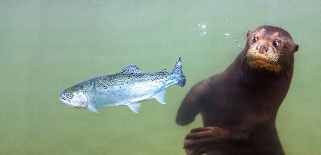 daily picdump 103 pics 2.html - 103 HD Photos | Premium Gallery 2018