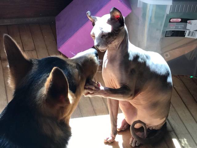 daily picdump 103 pics 2.html - 103 HD Photos | Premium Gallery 2018