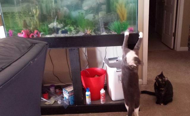 daily picdump 103 pics 2.html - 103 HD Photos | Premium Gallery 2018