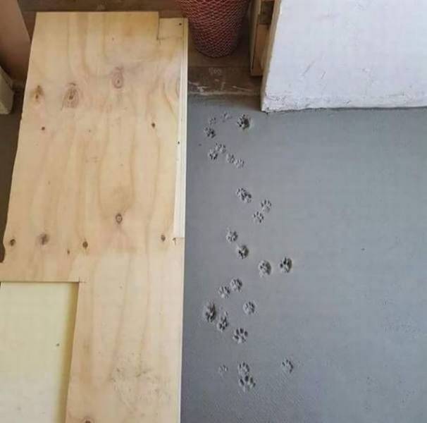 daily picdump 103 pics 2.html - 103 HD Photos | Premium Gallery 2018