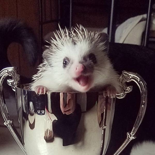 daily picdump 103 pics 2.html - 103 HD Photos | Premium Gallery 2018