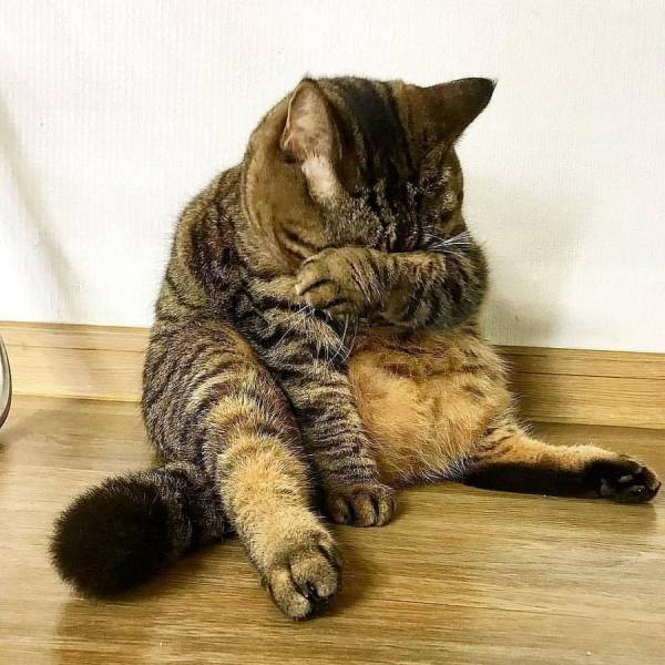 daily picdump 103 pics 2.html - 103 HD Photos | Premium Gallery 2018