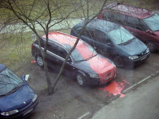 daily picdump 103 pics 2.html - 103 HD Photos | Premium Gallery 2018