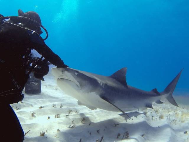 daily picdump 103 pics 2.html - 103 HD Photos | Premium Gallery 2018