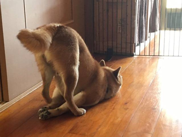 daily picdump 103 pics 2.html - 103 HD Photos | Premium Gallery 2018