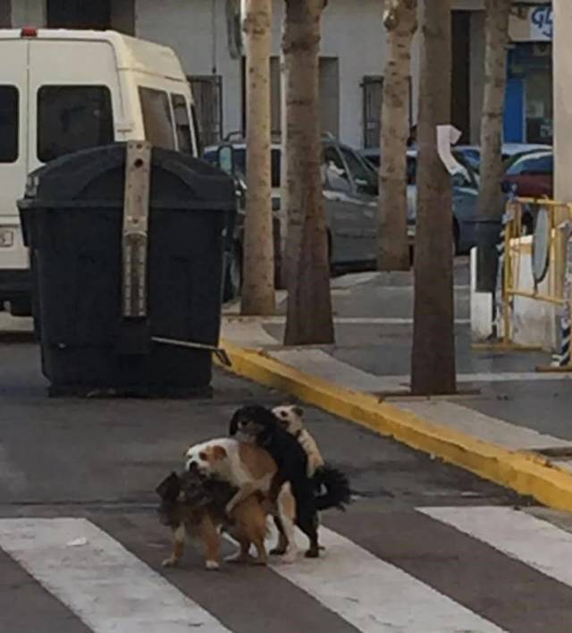 daily picdump 103 pics 2.html - 103 HD Photos | Premium Gallery 2018