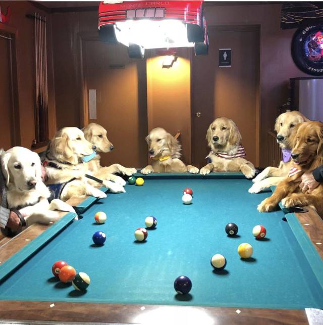 daily picdump 103 pics 2.html - 103 HD Photos | Premium Gallery 2018