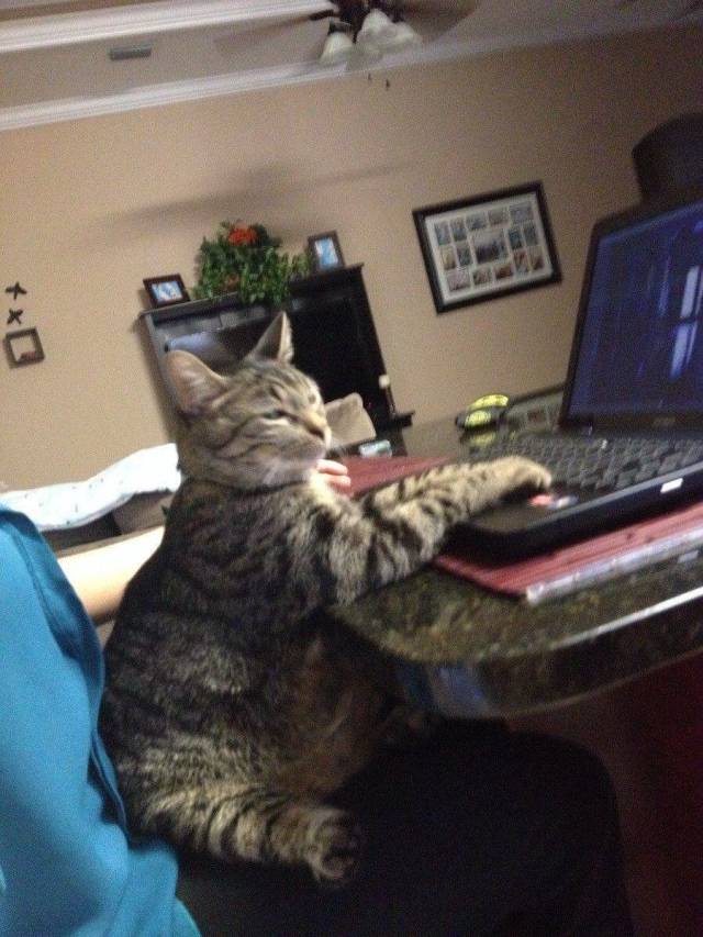 daily picdump 103 pics 2.html - 103 HD Photos | Premium Gallery 2018