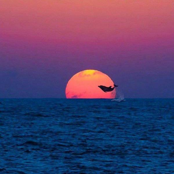 morning picdump 50 pics 5.html - 50 HD Photos | Premium Gallery 2018