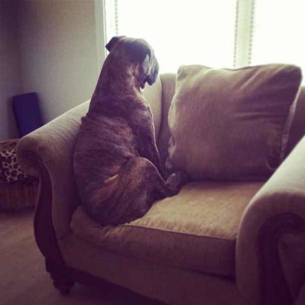 morning picdump 50 pics 5.html - 50 HD Photos | Premium Gallery 2018