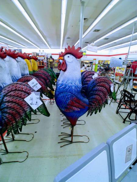 morning picdump 50 pics 5.html - 50 HD Photos | Premium Gallery 2018