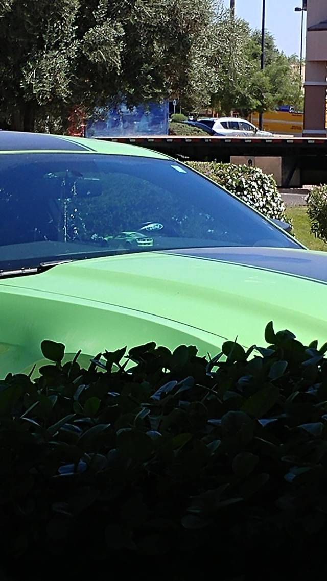 morning picdump 50 pics 5.html - 50 HD Photos | Premium Gallery 2018