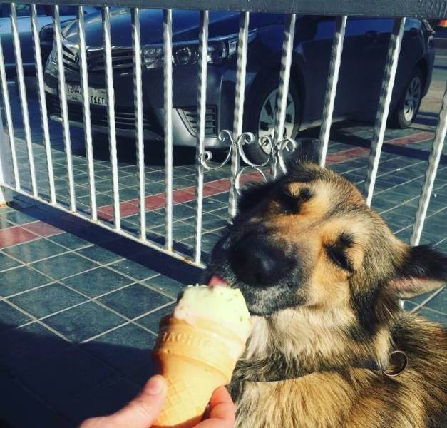 daily picdump 111 pics 46.html - 111 HD Photos | Premium Gallery 2018