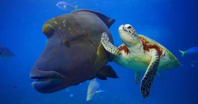 daily picdump 111 pics 46.html - 111 HD Photos | Premium Gallery 2018