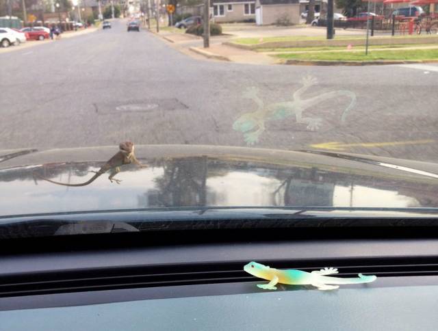 daily picdump 111 pics 46.html - 111 HD Photos | Premium Gallery 2018