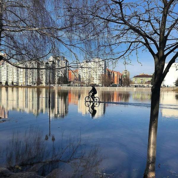 daily picdump 111 pics 46.html - 111 HD Photos | Premium Gallery 2018