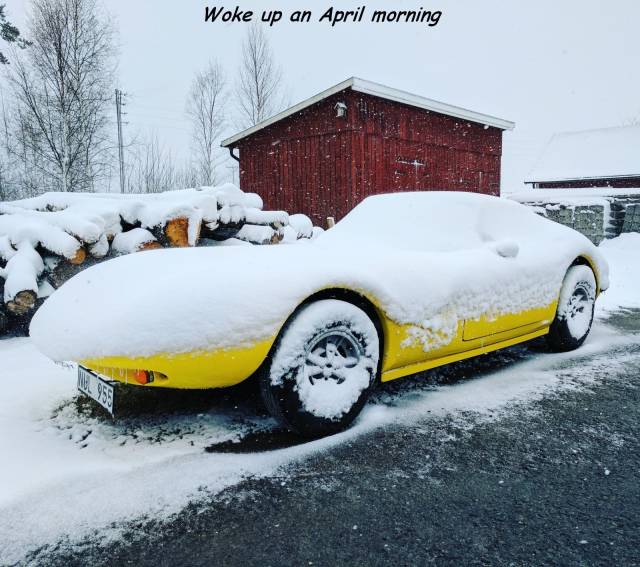 daily picdump 111 pics 46.html - 111 HD Photos | Premium Gallery 2018