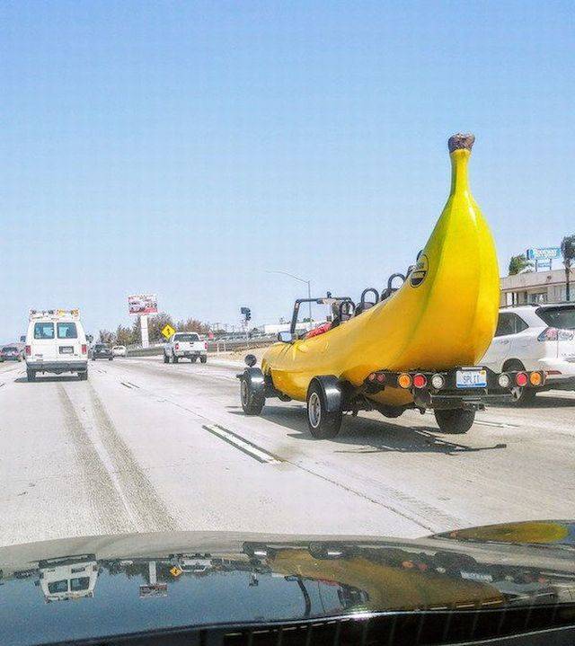 daily picdump 111 pics 46.html - 111 HD Photos | Premium Gallery 2018