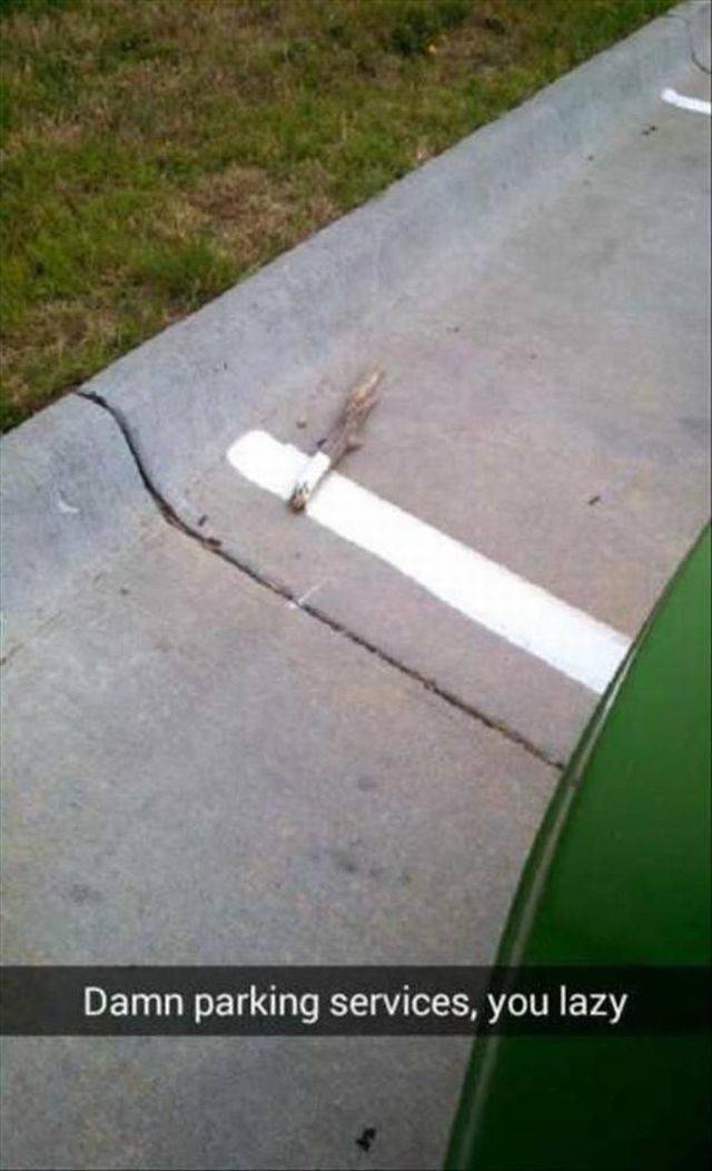 daily picdump 111 pics 46.html - 111 HD Photos | Premium Gallery 2018