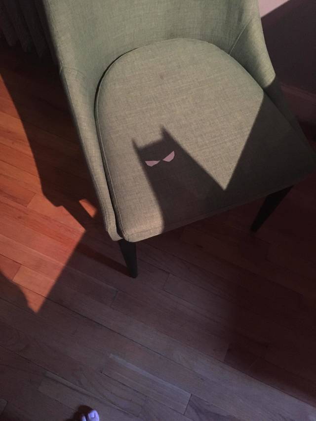 morning picdump 51 pics 6.html - 51 HD Photos | Premium Gallery 2018